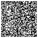 QR code with Premier Vending contacts