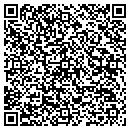 QR code with Professional Vending contacts