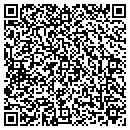 QR code with Carpet Care And More contacts