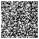 QR code with Carpets By Luis Inc contacts