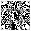 QR code with Team Capital Abstract contacts