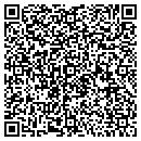QR code with Pulse Inc contacts