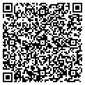 QR code with Navten contacts