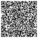 QR code with Carpet Solution contacts
