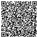 QR code with Lily contacts
