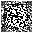 QR code with Pruitt Mitzi G contacts