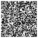 QR code with Pro Patios contacts