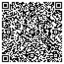 QR code with Baylis Lyn M contacts