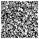 QR code with Projectricity contacts