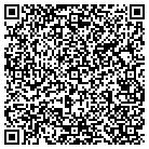 QR code with Ct Computer Consultants contacts