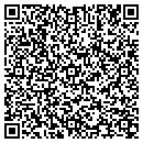 QR code with Colorado Painting Co contacts
