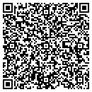 QR code with Pursuance LLC contacts