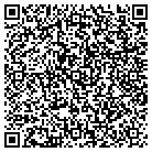 QR code with Pugliares Michelle L contacts