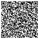 QR code with Public Storage contacts
