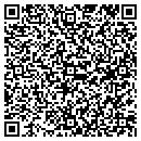 QR code with Cellular Connection contacts
