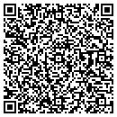 QR code with Project Find contacts