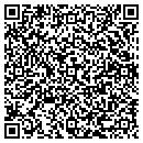 QR code with Carver Stephanie W contacts