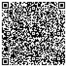 QR code with Bluecube Software Inc contacts