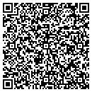 QR code with Cybernet Associates contacts
