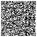 QR code with Cybersane, L L C contacts