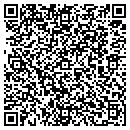 QR code with Pro Welding Solution Inc contacts
