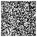 QR code with Pyes Mobile Welding contacts