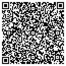 QR code with Stein Mary J contacts