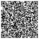 QR code with Protelligent contacts