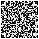 QR code with Prior Janet S contacts