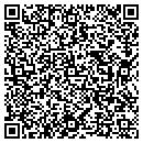 QR code with Progressive Welding contacts