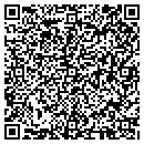 QR code with Cts Consulting LLC contacts
