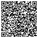 QR code with Insync contacts