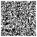 QR code with Pyramid Consulting Inc contacts