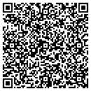 QR code with Punkoney Laura A contacts
