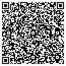 QR code with Blitztech Solutions contacts