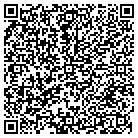 QR code with Pulsar Public Safety Instlltns contacts