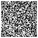 QR code with Stemsave Inc contacts