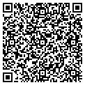 QR code with Pynergy contacts