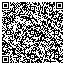 QR code with Public Storage contacts