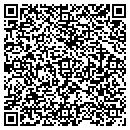 QR code with Dsf Consulting Inc contacts