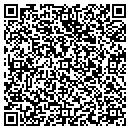 QR code with Premier Glass Solutions contacts