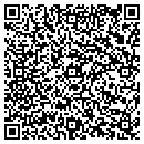 QR code with Princeton Review contacts