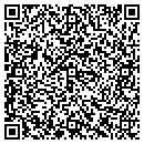 QR code with Cape Cod Networks Inc contacts