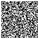 QR code with Premier Glass contacts