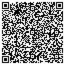 QR code with Pyle Financial contacts