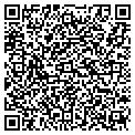 QR code with Insinc contacts