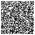 QR code with Dfwkllc contacts