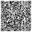QR code with Professional Access Ltd contacts
