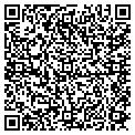 QR code with W Scott contacts