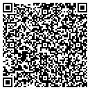 QR code with Chicago Std Testing contacts